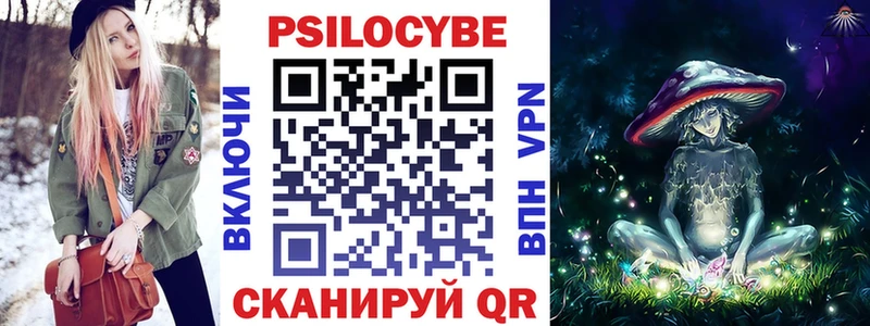 Галлюциногенные грибы Psilocybine cubensis  Юрьев-Польский 