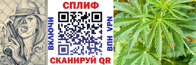 Конопля план  наркота  Юрьев-Польский 